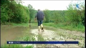 Pluies et inondations en Savoie : les agriculteurs en colre  Aiton