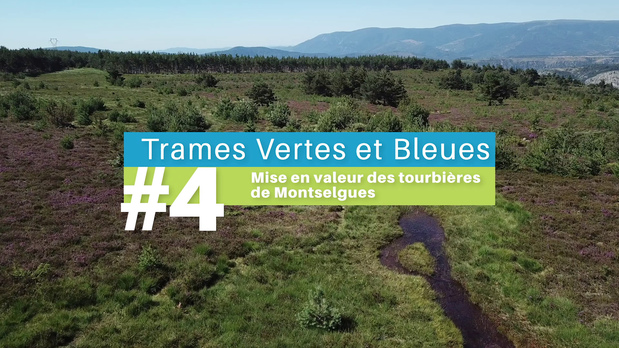 #4  La mise en valeur des tourbires de Montselgues - Trames Vertes & Bleues