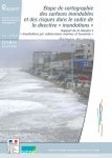 Etape de cartographie des surfaces inondables et des risques dans le cadre de la directive 