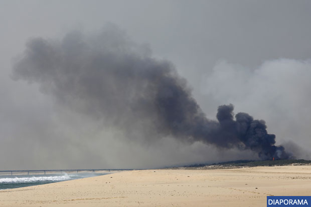 Incendie de la teste de Buch