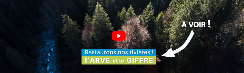 Restaurons nos rivières ! L'Arve et le Giffre