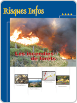 Revue Risques Infos