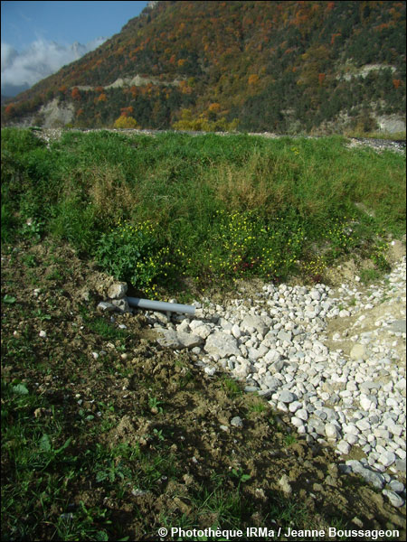 Extrmit avale dun drain sur la commune de Saint-Guillaume