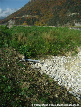 Extrémité avale d’un drain sur la commune de Saint-Guillaume