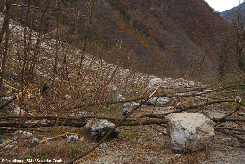 Blocs et arbres impacts jonchant le sol au pied des Ruines