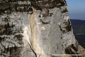 Face est du Granier : niche d'arrachement des éboulements survenus entre le 28 avril et le 7 mai