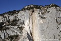 Face est du Granier : niche d'arrachement des éboulements survenus entre le 28 avril et le 7 mai