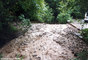 Crue du Rif Talon
