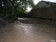 Crue du Rif Talon