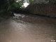 Crue du Rif Talon