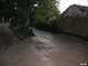 Crue du Rif Talon