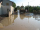 Crue du Rif Talon