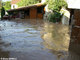 Crue du Rif Talon
