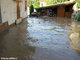 Crue du Rif Talon