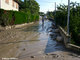 Crue du Rif Talon
