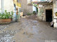 Crue du Rif Talon
