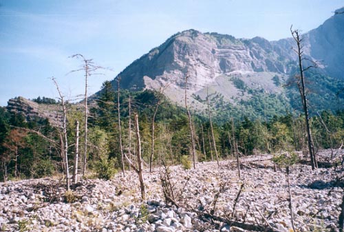 Torrent de l'Ebron : fort envahie par une lave torrentielle