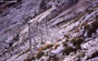 Filets paravalanche sous le sommet de Chamechaude (massif de la Chartreuse)