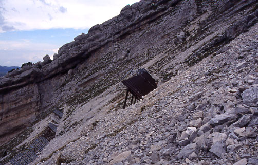 Rteliers paravalanche sous le sommet de Chamechaude (massif de la Chartreuse)