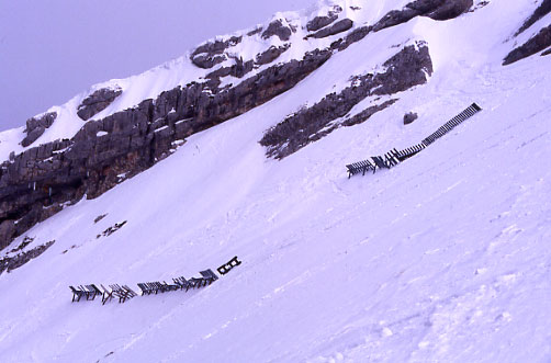 Râteliers paravalanche sous le sommet de Chamechaude (massif de la Chartreuse)