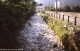Crue du Dom�non