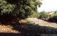 Crue du Dom�non