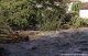 Crue du Dom�non