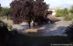Crue du Dom�non