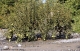 Crue du Dom�non