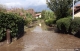 Crue du Dom�non