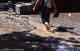 Crue du Dom�non
