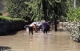 Crue du Dom�non