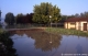 Crue du Dom�non
