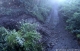 Crue du Dom�non