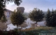Crue du Dom�non
