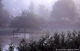 Crue du Dom�non