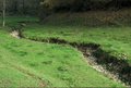 érosion dans le ruisseau de la Châtelonnière