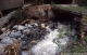 Crue torrentielle du ruisseau de Prémol