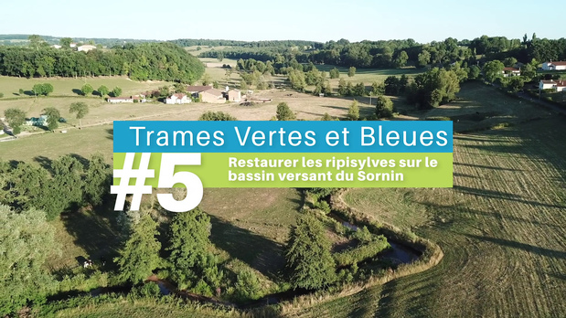 #5 - Les ripisylves du Sornin - Trames Vertes & Bleues : La vie au cœur des territoires