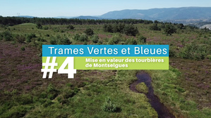  #4  La mise en valeur des tourbires de Montselgues - Trames Vertes & Bleues