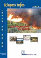 Les incendies de forts