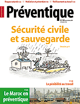 La sauvegarde, lment cl de la scurit civile : un bilan des rserves communales