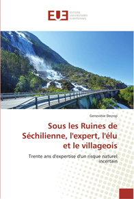 Sous les Ruines de Schilienne, l'expert, l'lu et le villageois : Trente ans d'expertise d'un risque naturel incertain