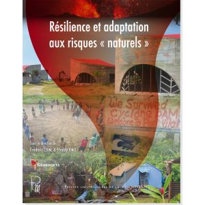 Rsilience et adaptation aux risques 