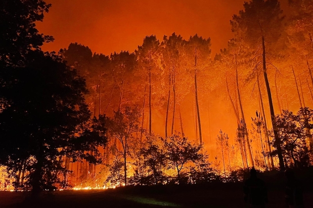 Incendie de Landiras en juillet 2022  Departement de la Gironde