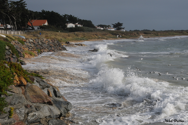 A Noirmoutier, le prototypage dune plateforme de gestion de crise intercommunale