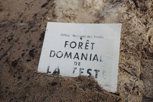 Pancarte de la forêt de La-Teste-de-Buch prise lors d'un photoreportage le 27 septembre 2022 après l'incendie © ONF