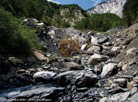 Photo 6 - Front des boulements de juin 1998, encore en place dans le lit du torrent de Saint-Antoine