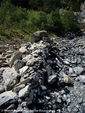 Photo 14 - Bourrelet latral en rive droite du lit du torrent de Saint-Antoine, tmoin du passage dune lave torrentielle