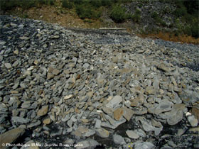 Photo 17 - Amas de matriaux rocheux surlevant le niveau du lit du torrent de Saint-Antoine